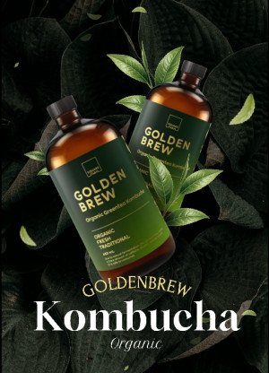 골든브루 콤부차 / 480ml*12병